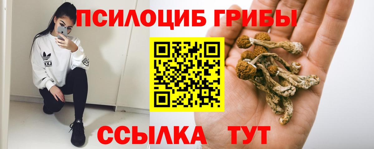 Керчь  где найти   Вход с VPN  Псилоцибиновые грибы Psilocybine cubensis 